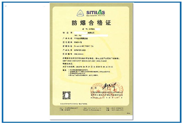 巡檢機器人91网站免费看認證