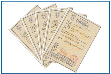 自動化包裝設備91网站免费看認證